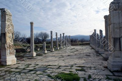 Columns