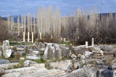 Ruins and trees