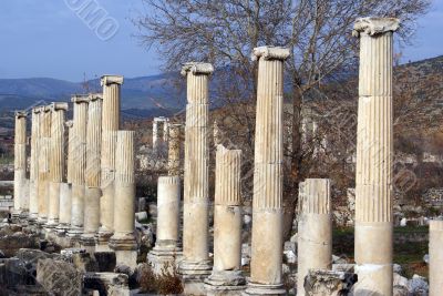 Columns