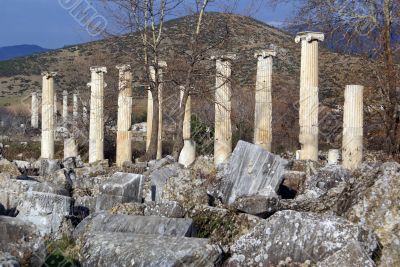 Autumn and columns