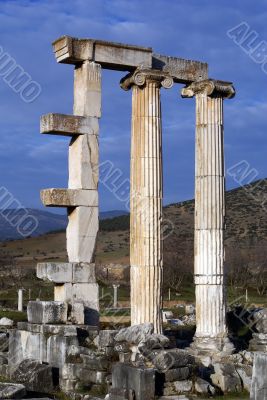 Colones on ruins