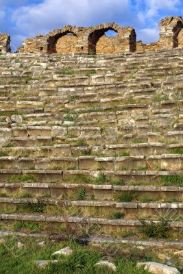 Grass and seats