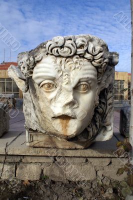 Head