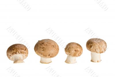 mushrooms