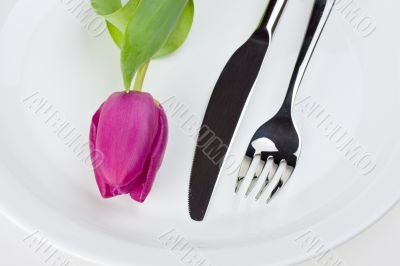 tulip,knife and fork