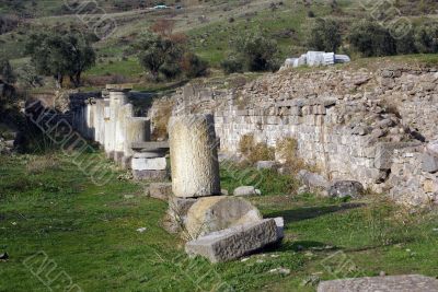 Grass and ruins