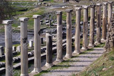 Columns