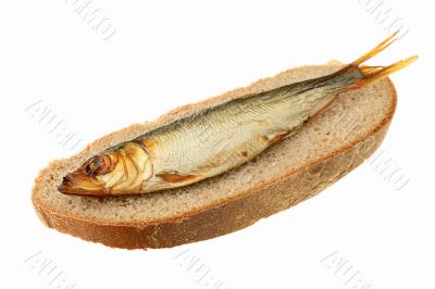 Sprat of cold smoking