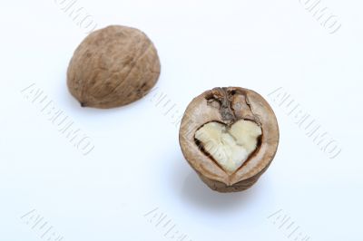isolated walnut