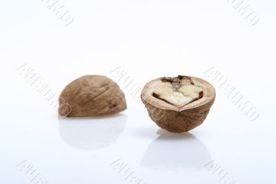 isolated walnut