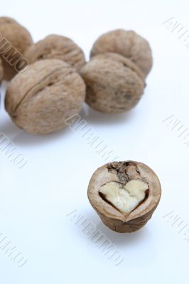 isolated walnut