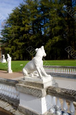 Marble dog