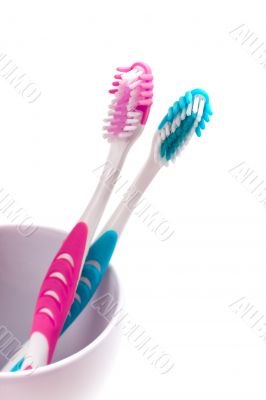 two toothbrushes