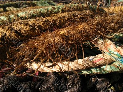 Lobster pots