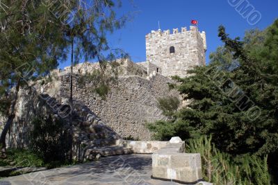 trees and tower