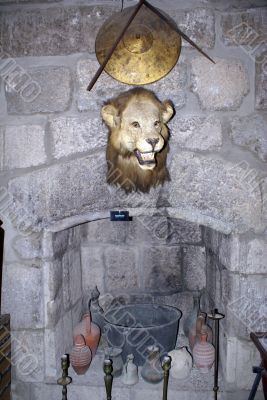 Lion`s head
