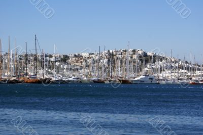 Houses and boats