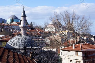 Mosque and houses
