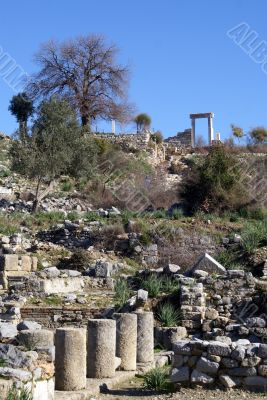 Columns and gate