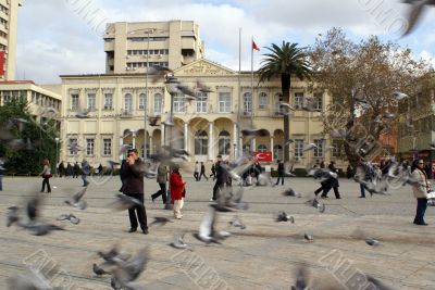 People and doves