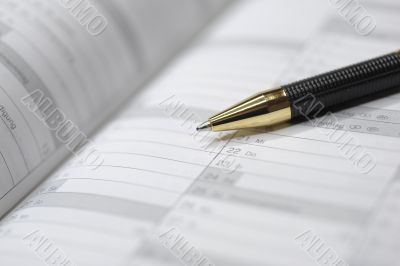 diary calendar, schedule, pen, plan