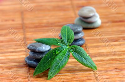 spa stones with green leaf