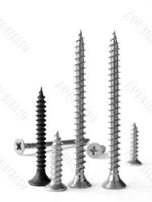 assorted screws