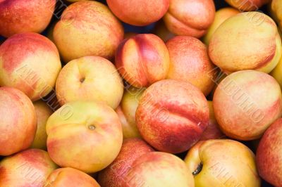 Nectarine