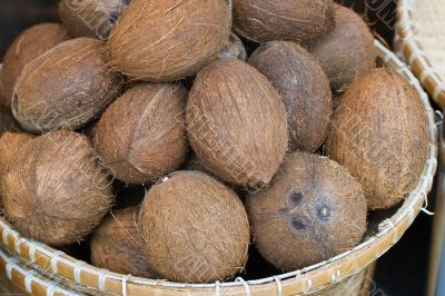 Coconut