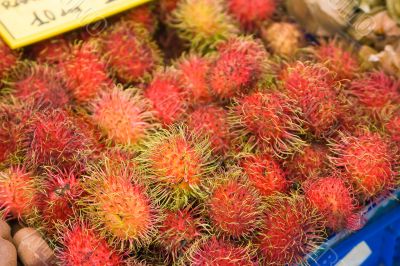 Litchi