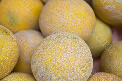 Net melon
