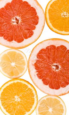 lemon, orange and grapefruit