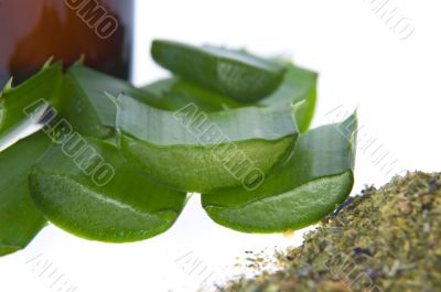 aloe vera - alternative therapy