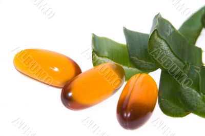 aloe vera - alternative therapy