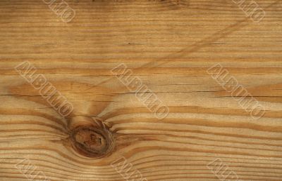 Wood Texture / background