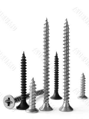 screws