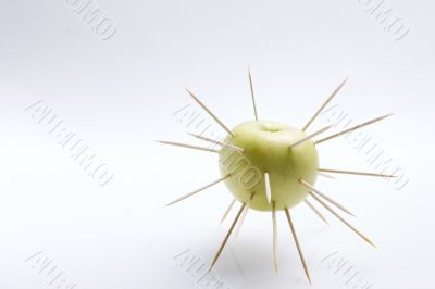 The isolated apple