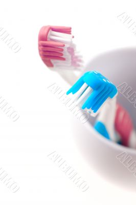 two toothbrushes
