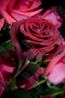 red roses bouquet