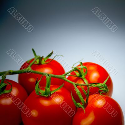 fresh tomatoes
