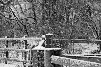 black and white snow scence