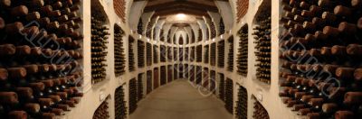 Old wine cellar