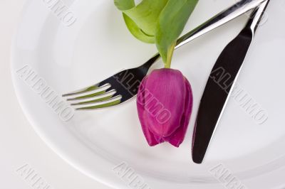 tulip,knife and fork