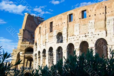 Roman Colosseum