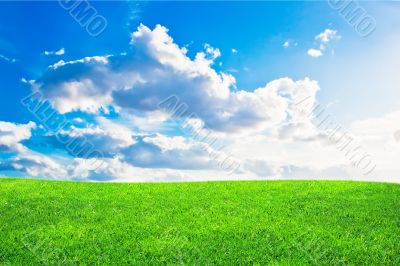 Green grass and blue cloudy sky