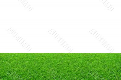 Green field