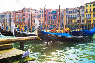 Gondolas in Venice