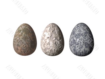 eggs