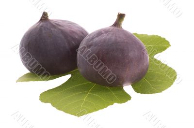 figs on the leaf