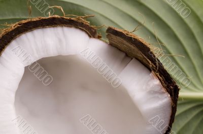 open coconut and green leaf. exotic